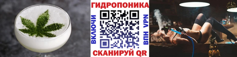 МЕГА tor  площадка официальный сайт  Михайловск  Cannafood марихуана  цена наркотик 