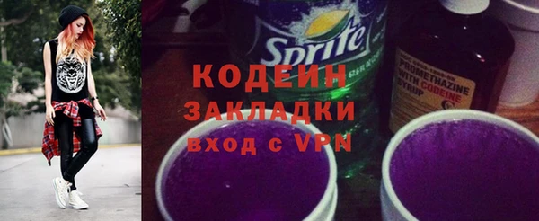 хмурый Аркадак