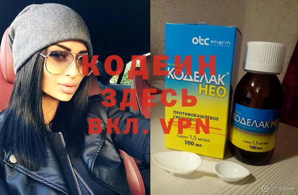 хмурый Аркадак