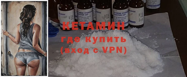 хмурый Аркадак