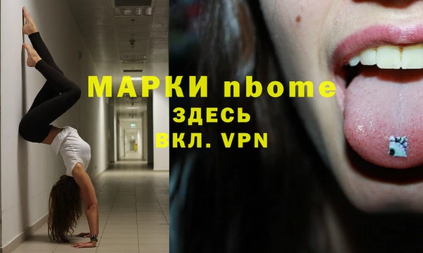 хмурый Аркадак
