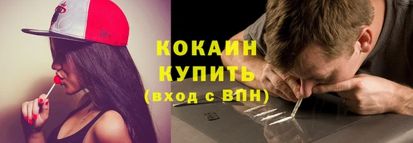 хмурый Аркадак