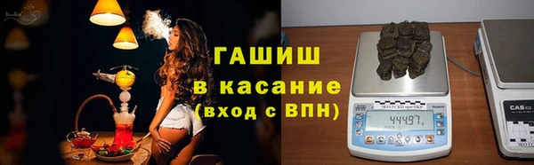 хмурый Аркадак