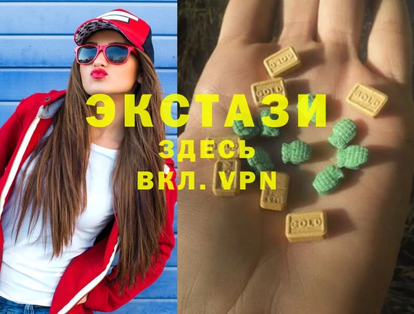 хмурый Аркадак