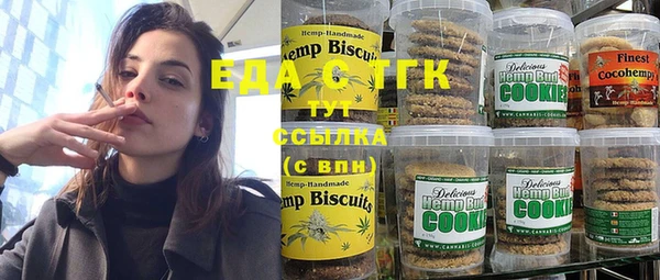 хмурый Аркадак