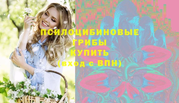 крисы Арсеньев