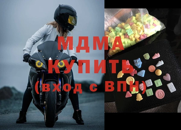 хмурый Аркадак