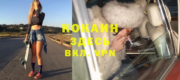 хмурый Аркадак